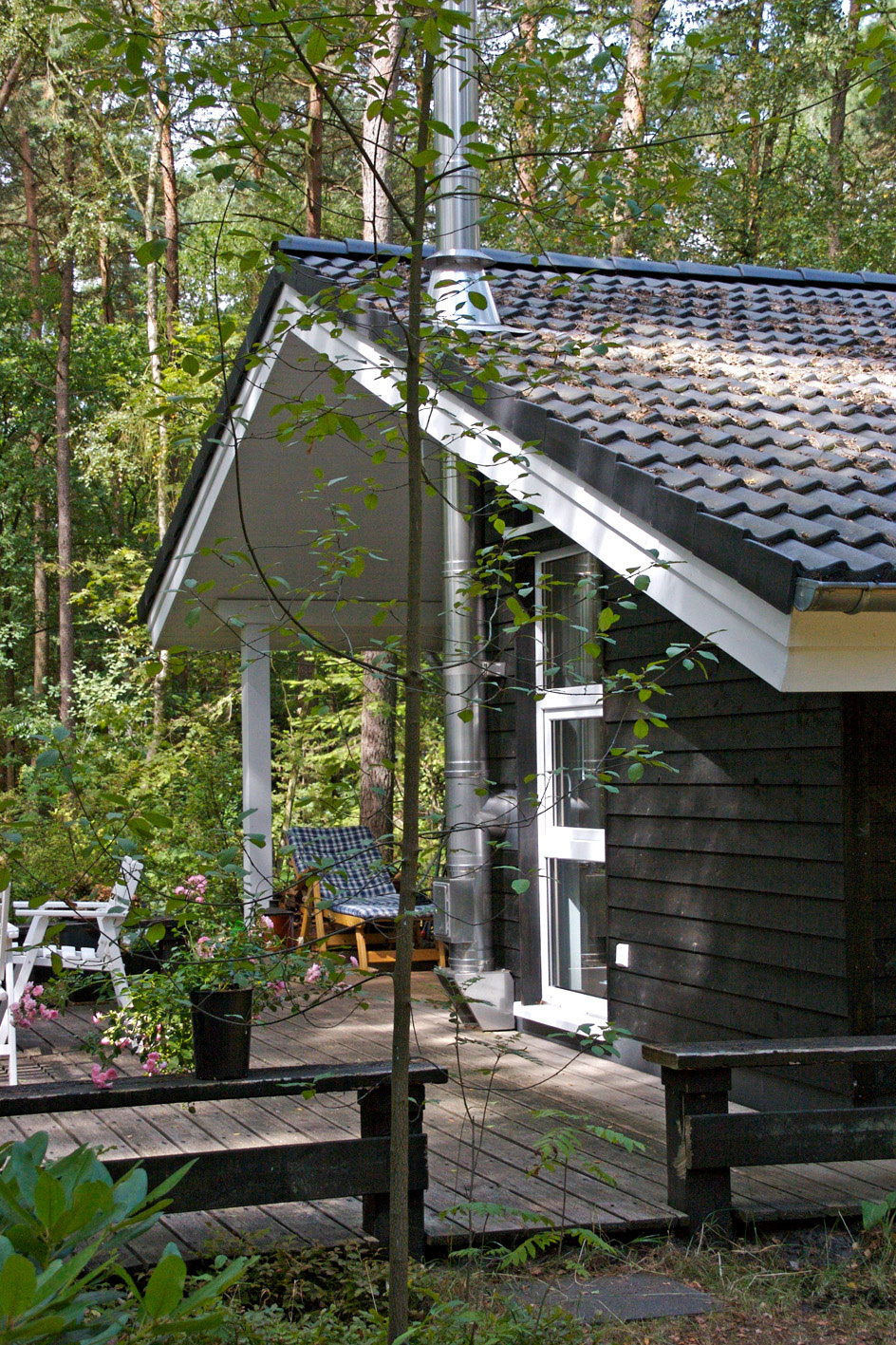 Holzhaus in seiner natürlichen Umgebung